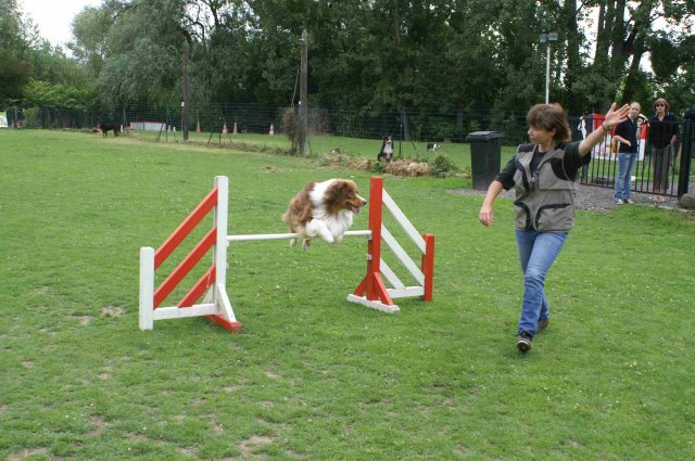 agility 2011-07-24